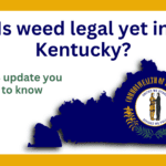 Kentucky cannabis update