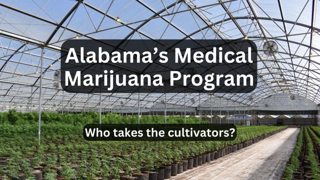 Alabama medical marijuana program cultivators